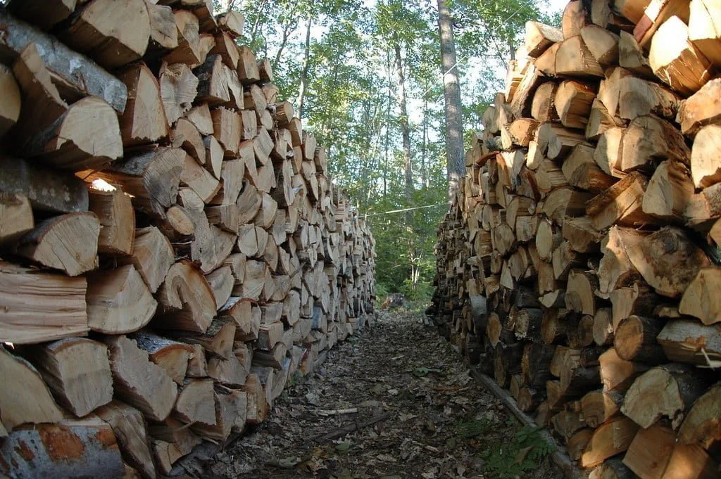 Hyper Fires - - Drying Wood 3 Hyper Fires - - Drying Wood - 2825501235 bd7a1c34d4 b - Page