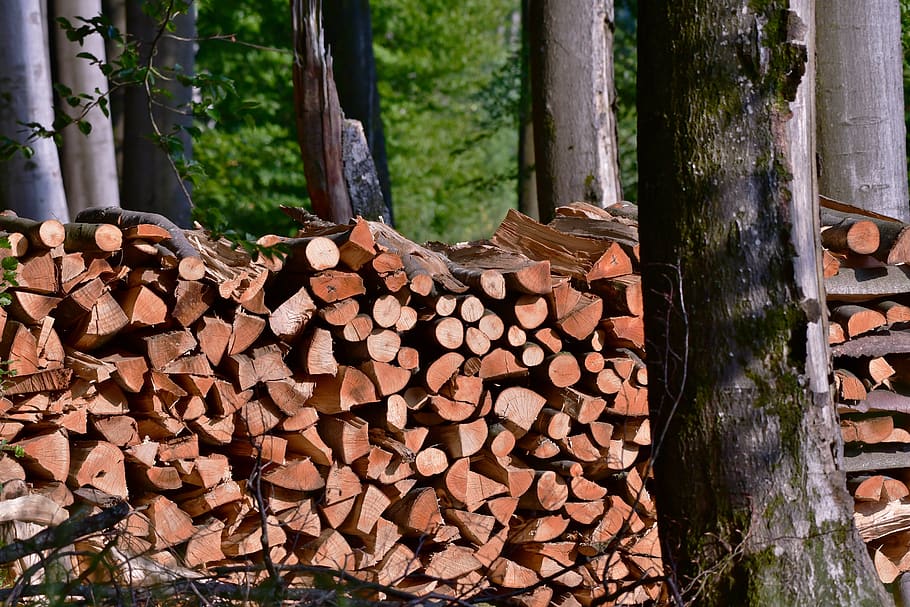 Hyper Fires - - Drying Wood - wood cut nature serrated tree forest - Page